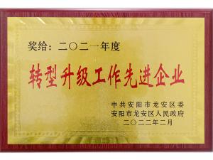 2021 轉(zhuǎn)型升級先進企業(yè)